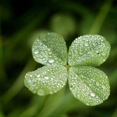 回应马斯克：AI替代就业没那么悲观丨陆铭专栏